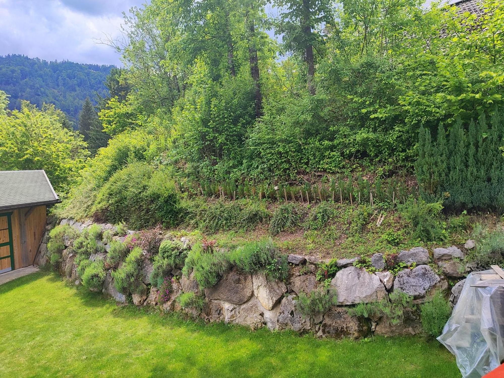 Apartma Lara Bled Dış mekan fotoğraf